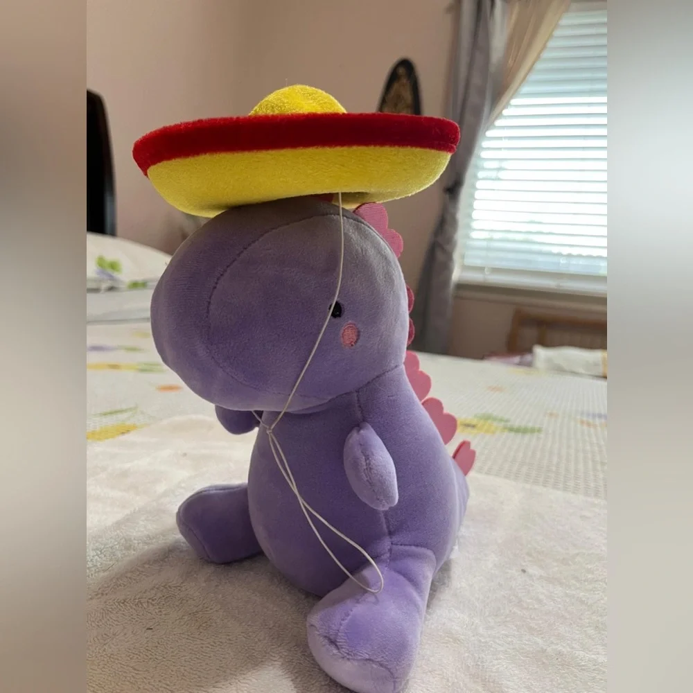 Colorful Miniature Sombrero Hat For Dog